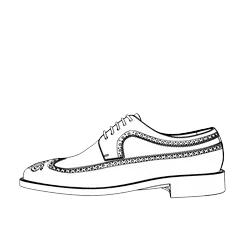 longwing_poyter_shoes.webp
